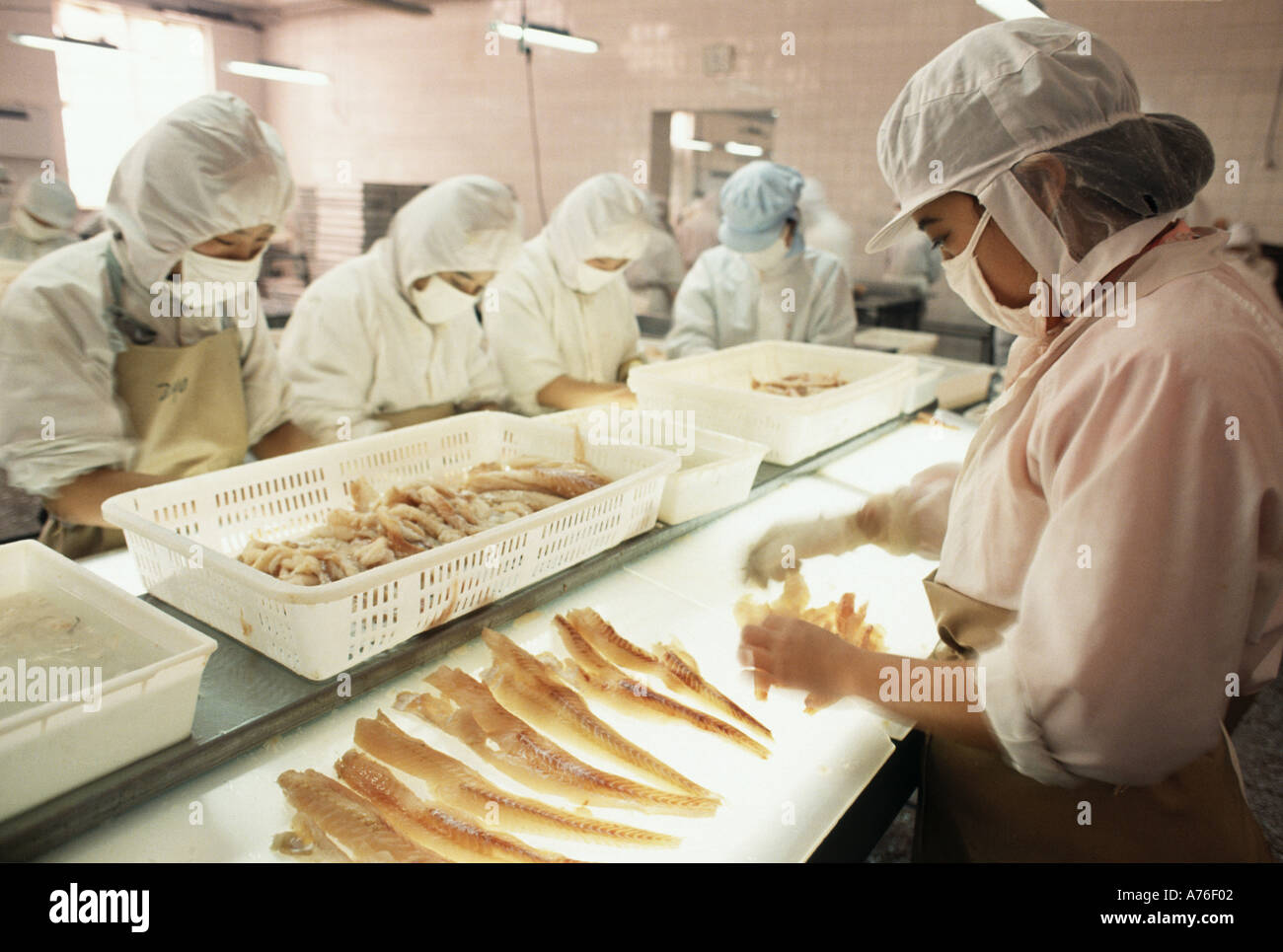 Fish processing factory Stock Photo Alamy