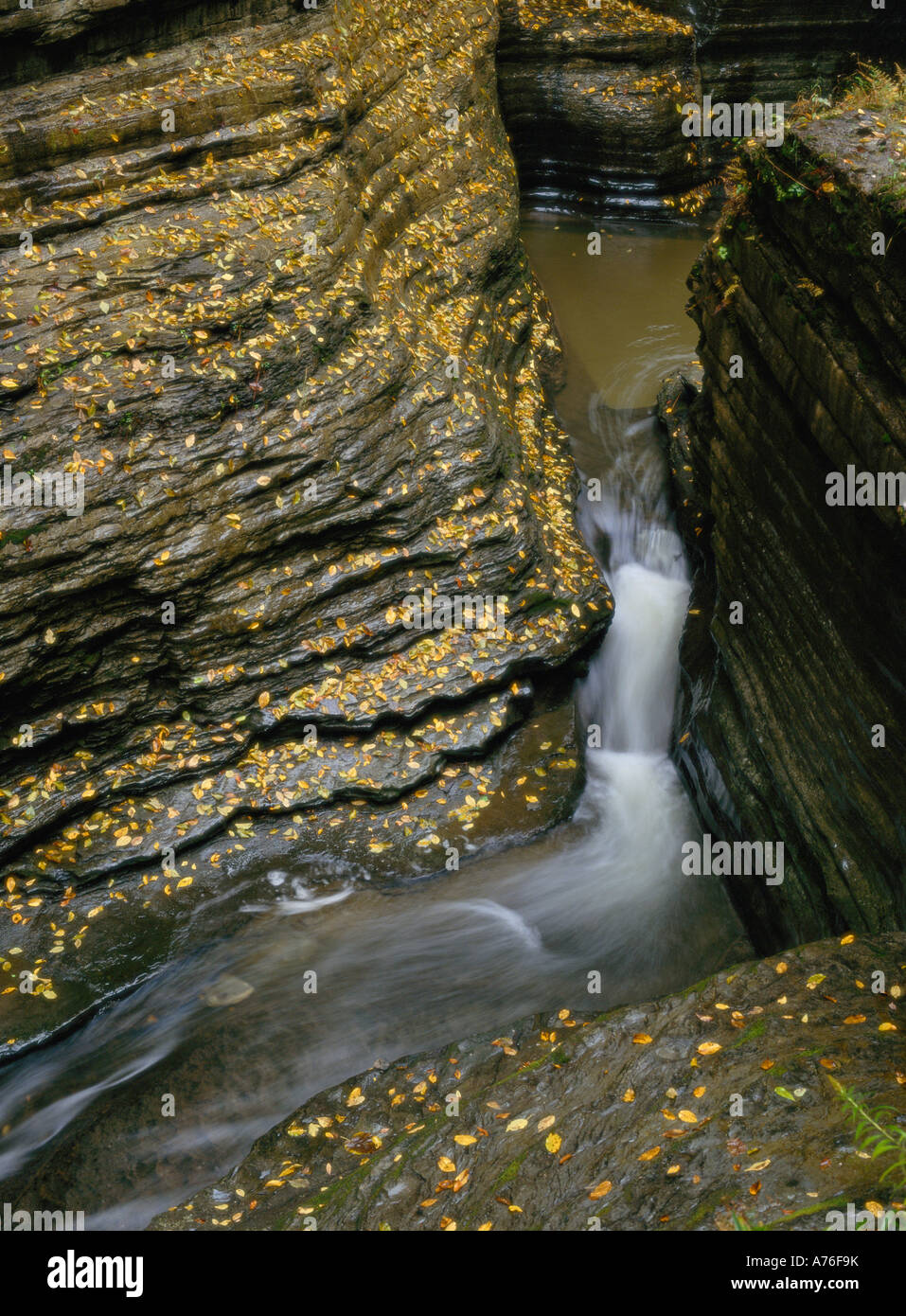 Falls in slot canyon, Watkins Glen State Park, Finger Lakes, NEW YORK USA Stock Photo