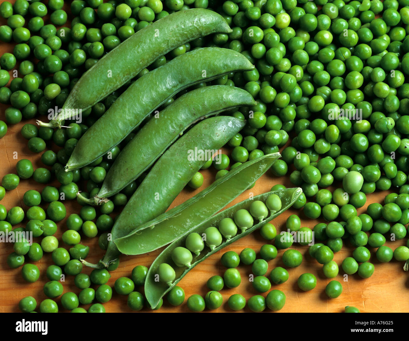Erbse Erbsen Pea Peas Stock Photo