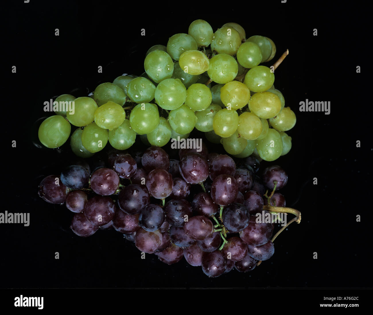 Wein Weintrauben Grape Grapes Stock Photo - Alamy