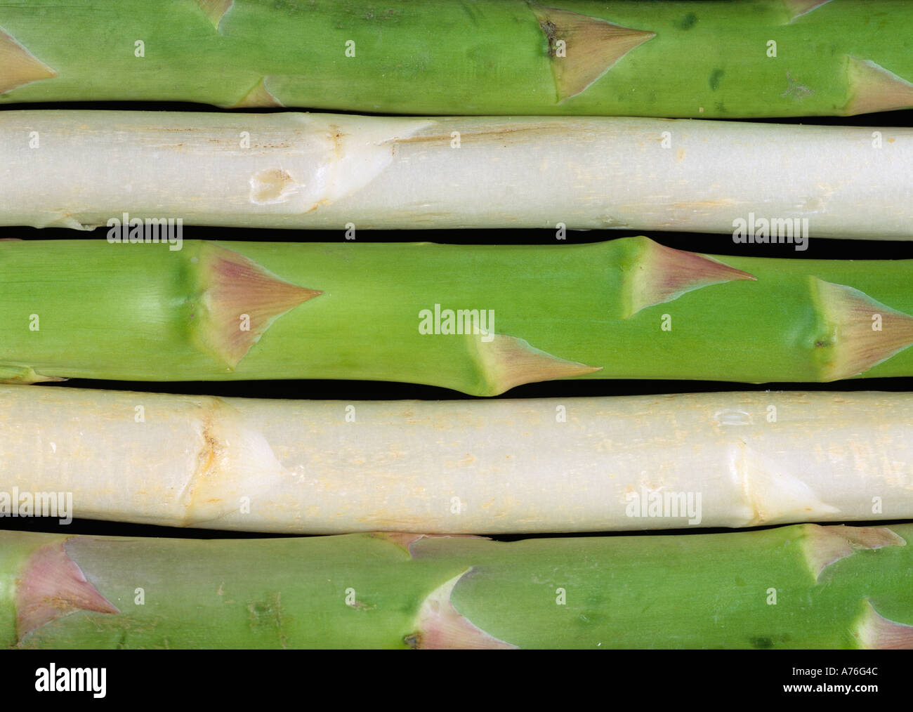 Spargel Asparagus Stock Photo