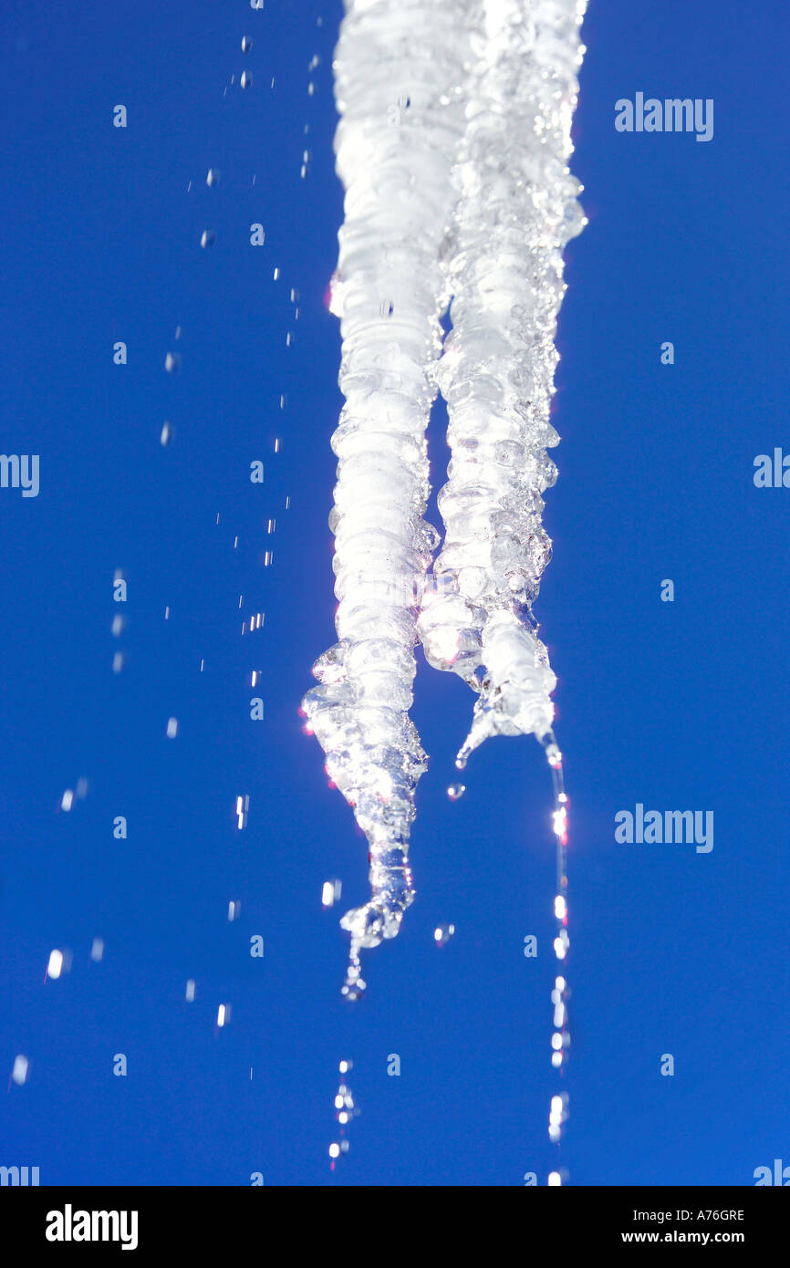 A melting icicle against a clean blue sky. Stock Photo