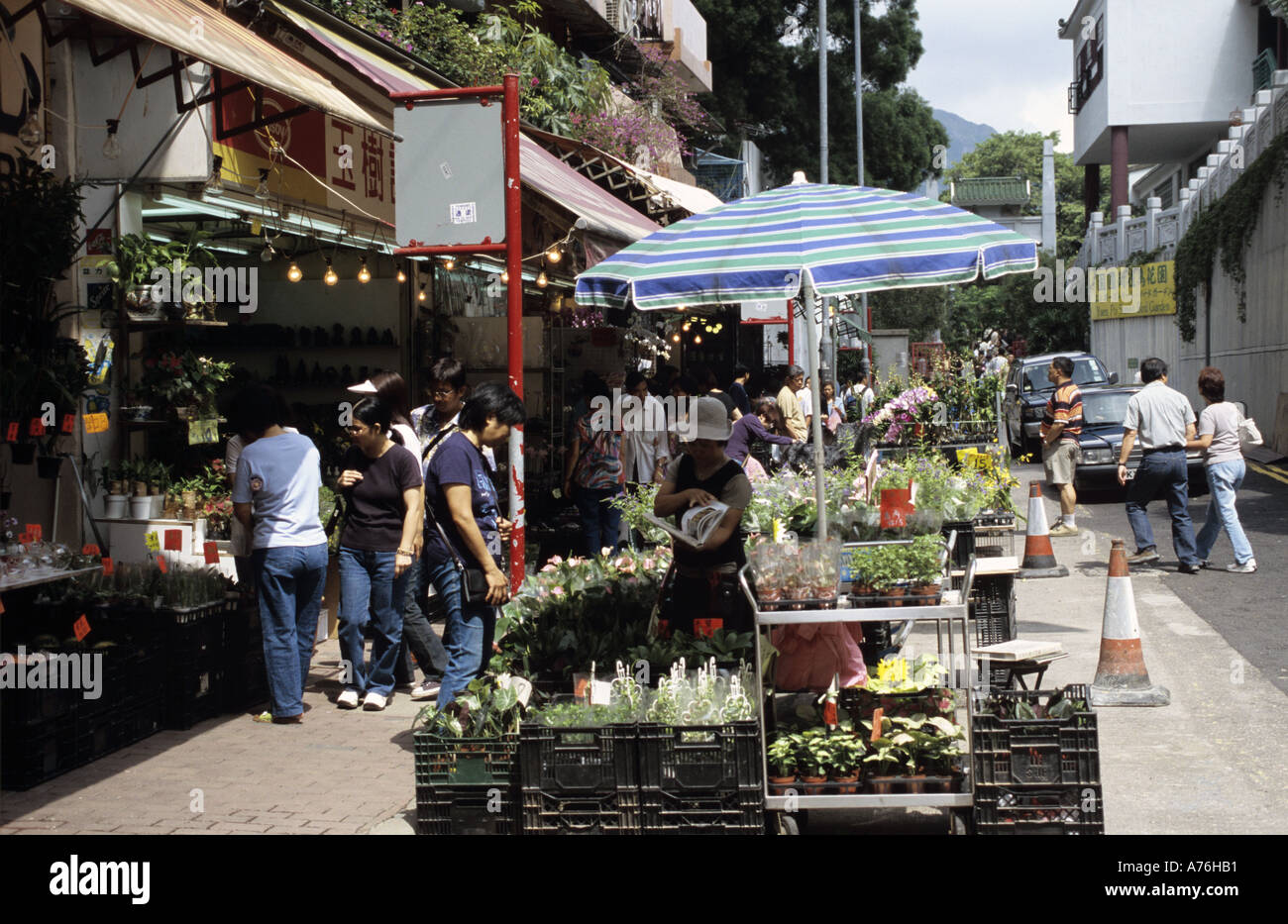 Asien Asia China Hongkong Hong Kong Mong Kok Flower Market Stock Photo