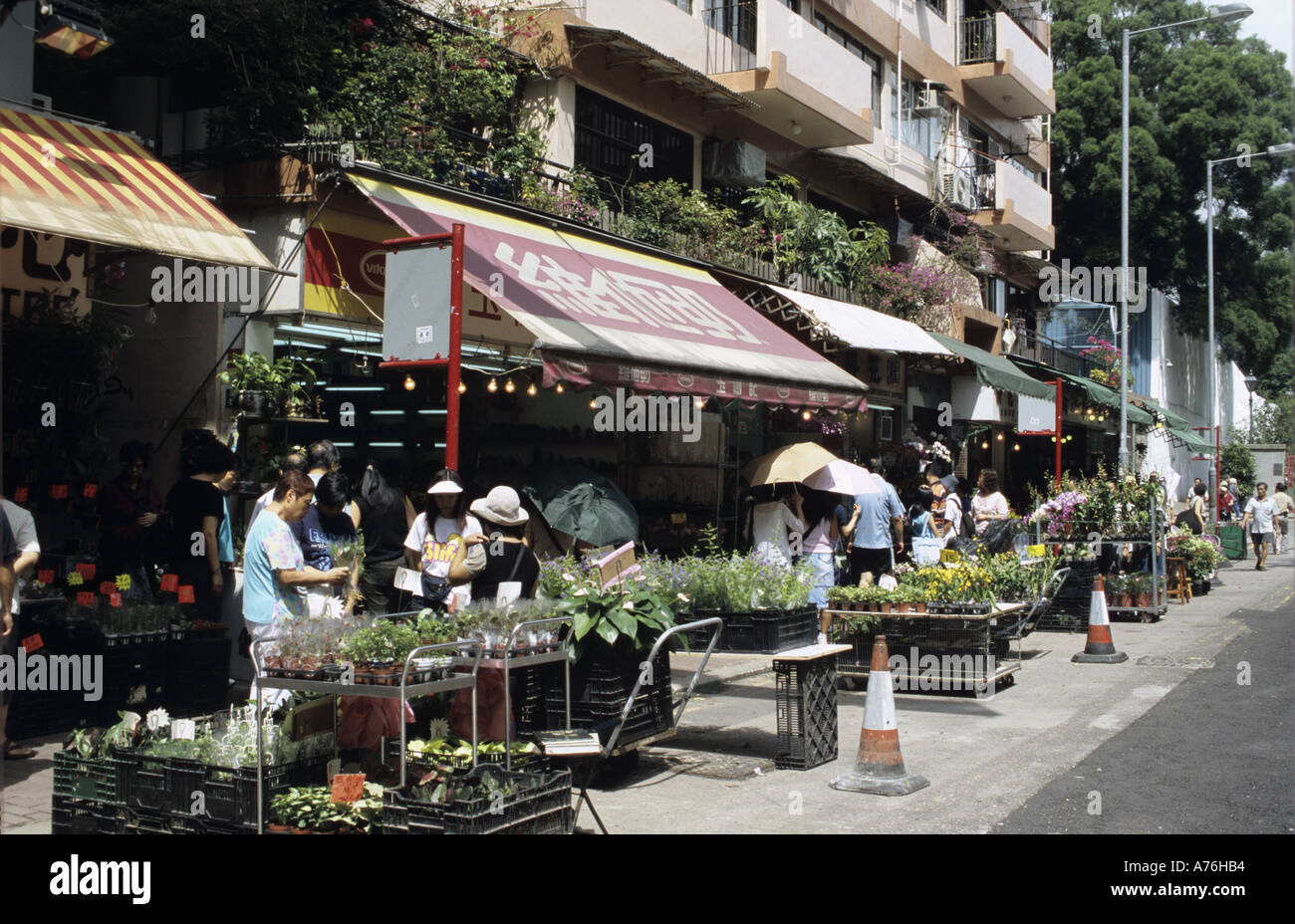 Asien Asia China Hongkong Hong Kong Mong Kok Flower Market Prince