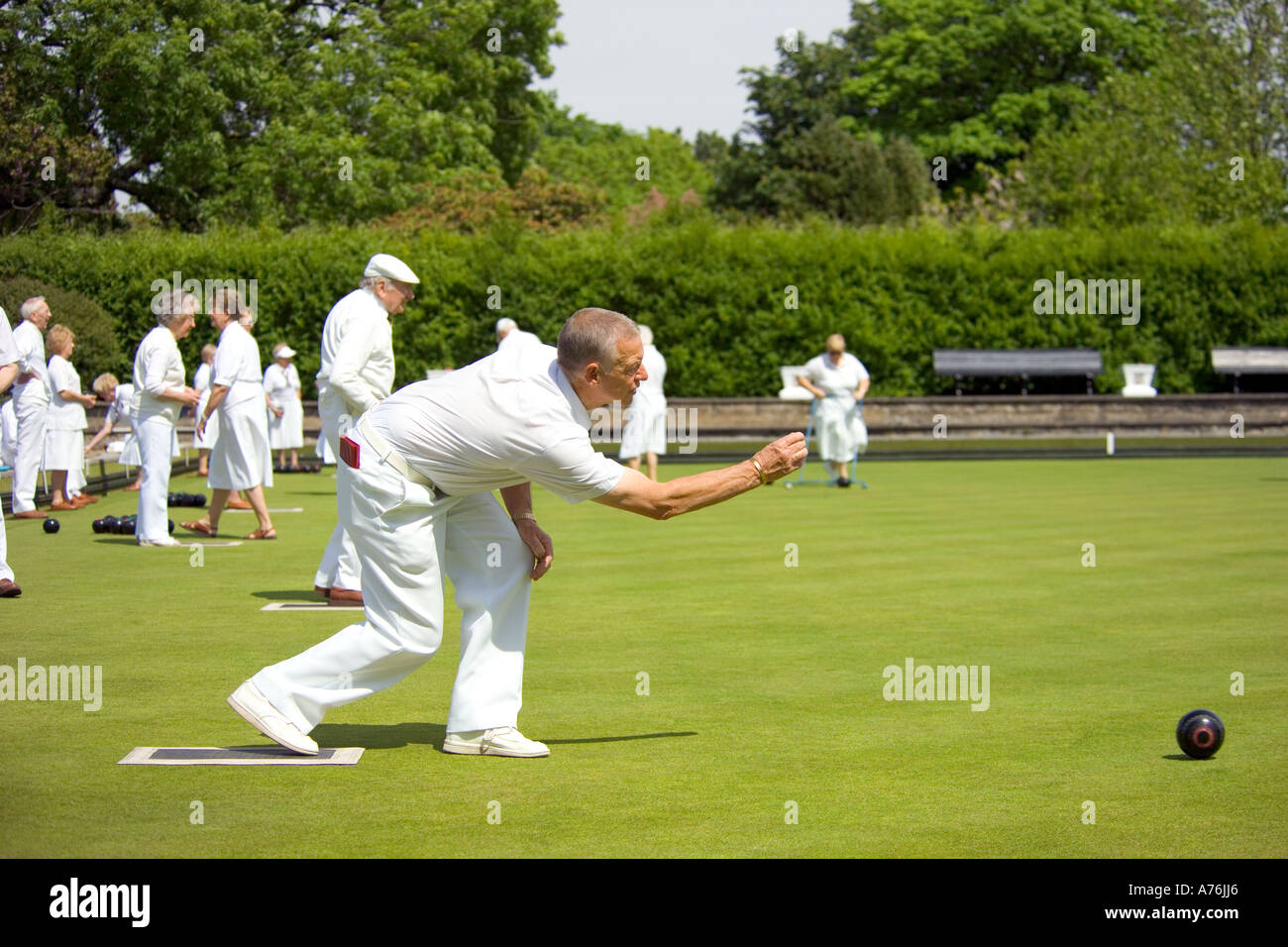 A view of the green with a male team member as he bowls. Stock Photo