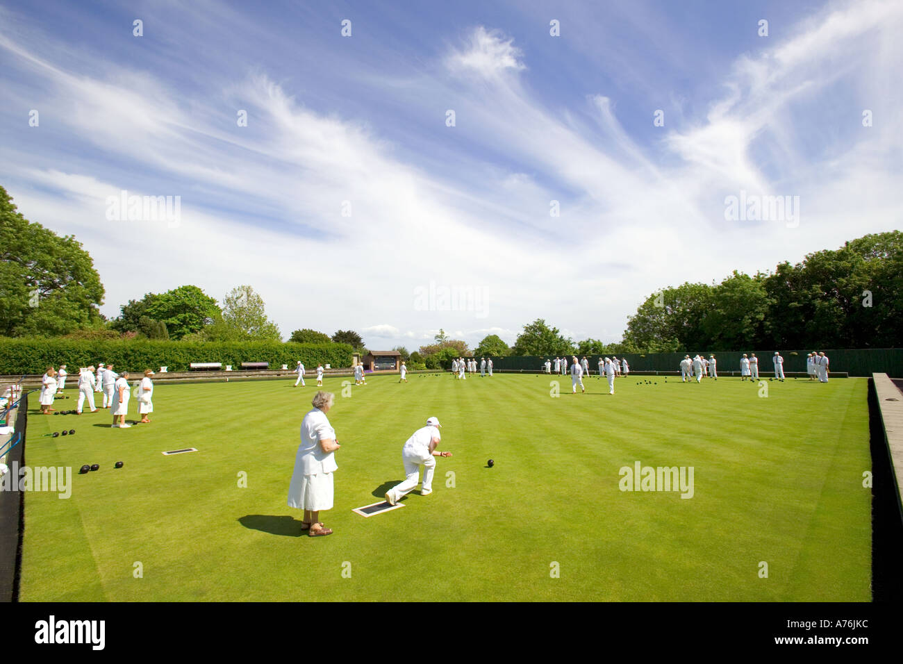 A wide angle view of the green with a male team member about to bowl. Stock Photo