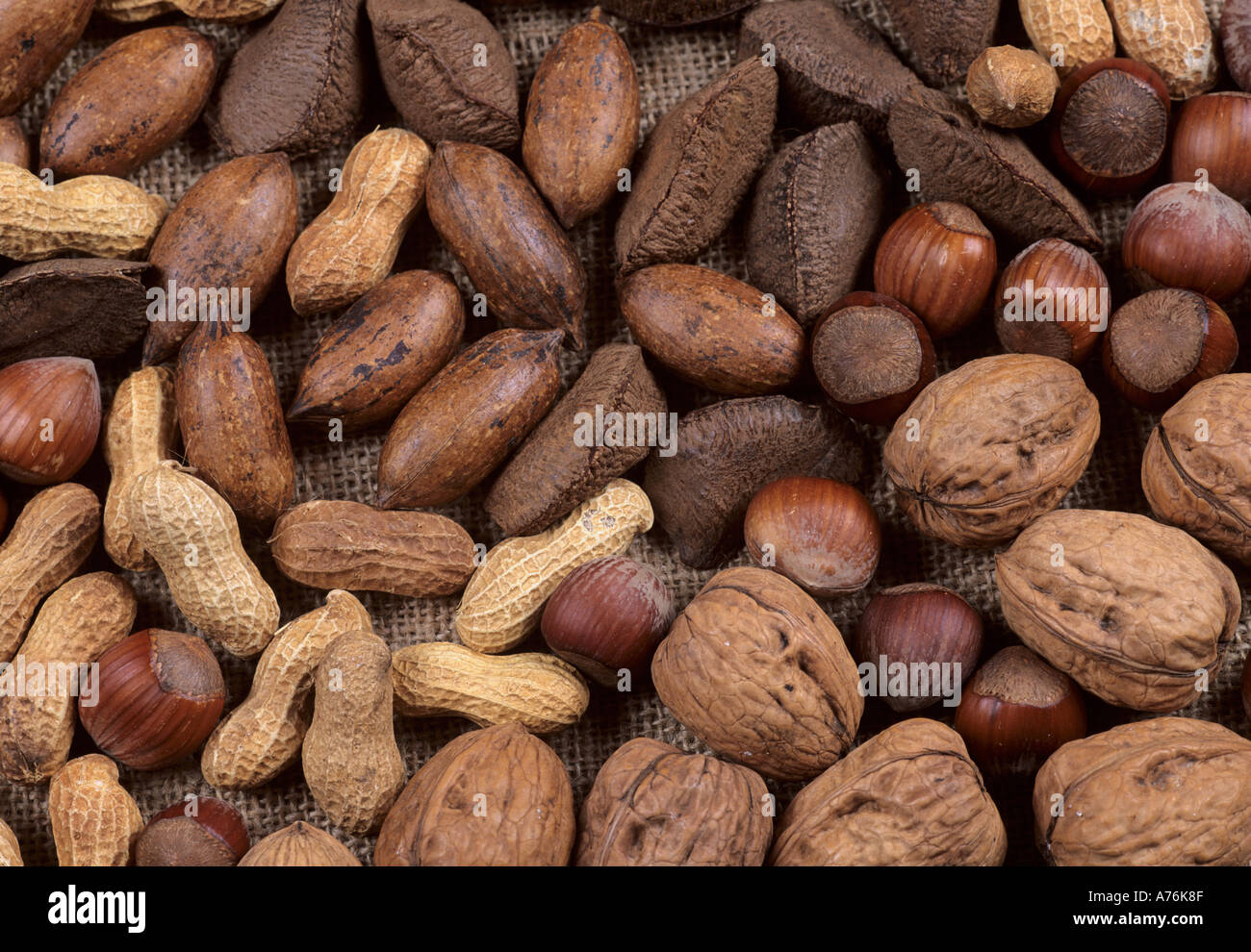 Erdnuss wallnuss haselnuss hi-res stock photography and images - Alamy
