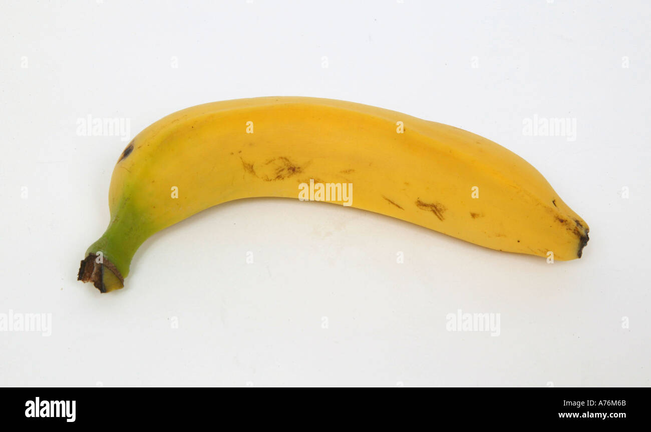 Bannana plant hi-res stock photography and images - Alamy