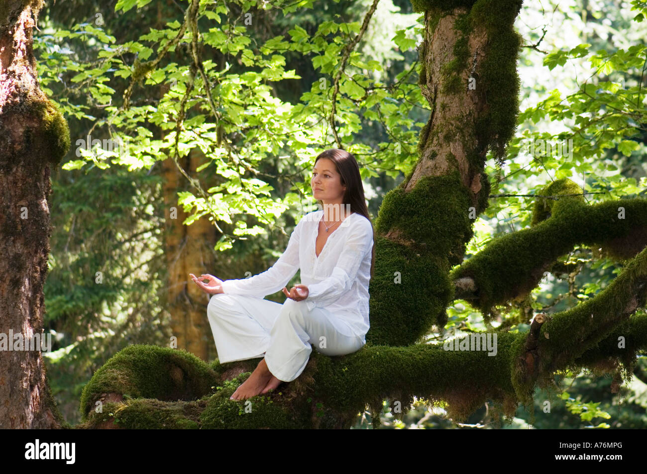 Young woman meditating on tree branch, side view Stock Photo