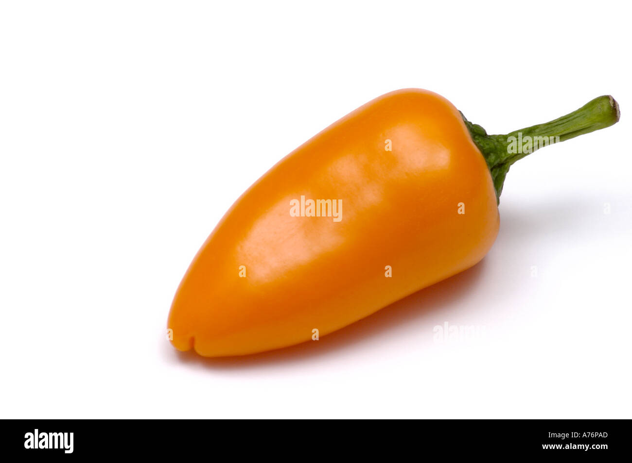 Sweet baby orange chilli on white background Stock Photo Alamy