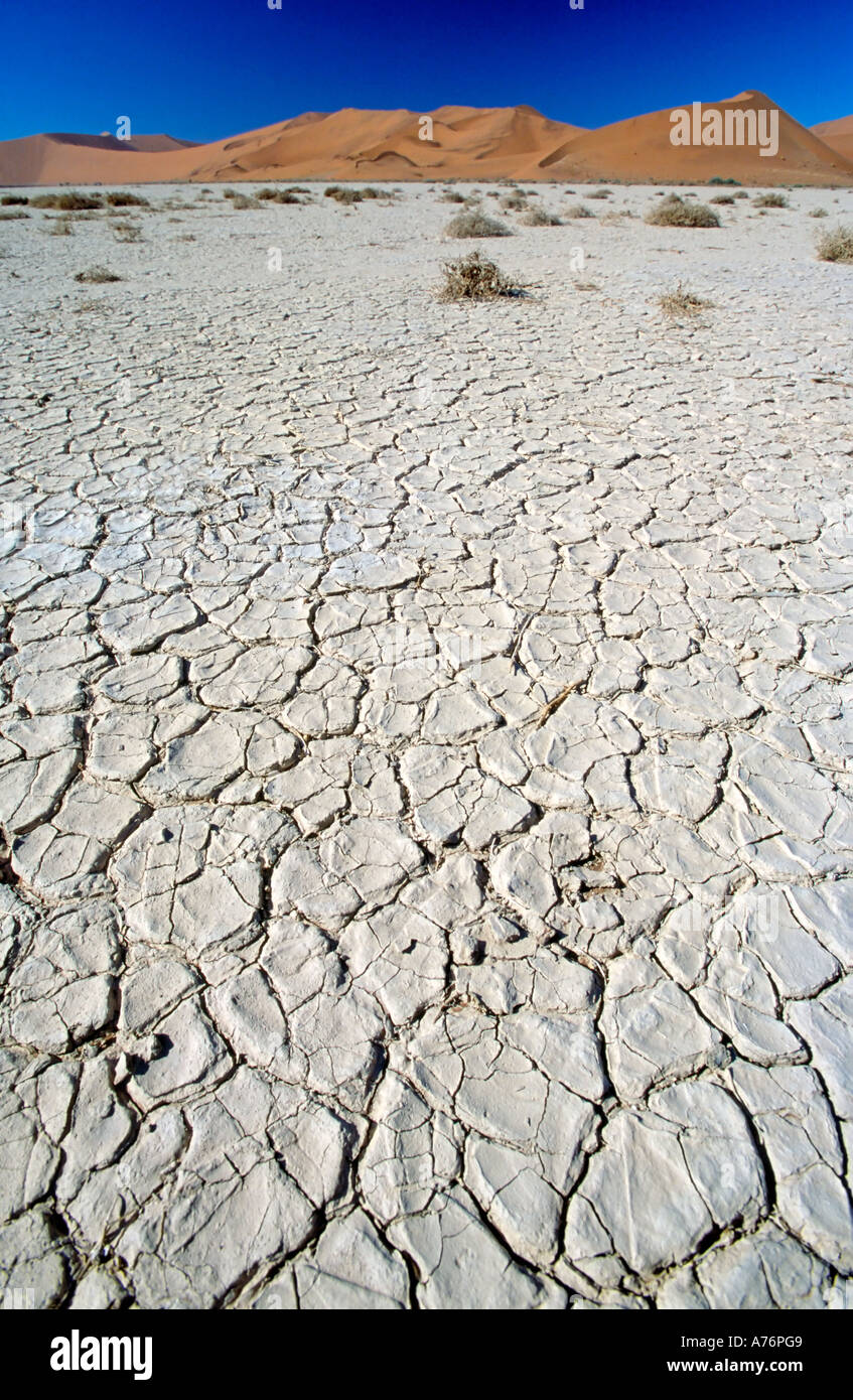 Namibian desert landscape with dried shrubs on a dry river bed and sand dunes in the background. Stock Photo