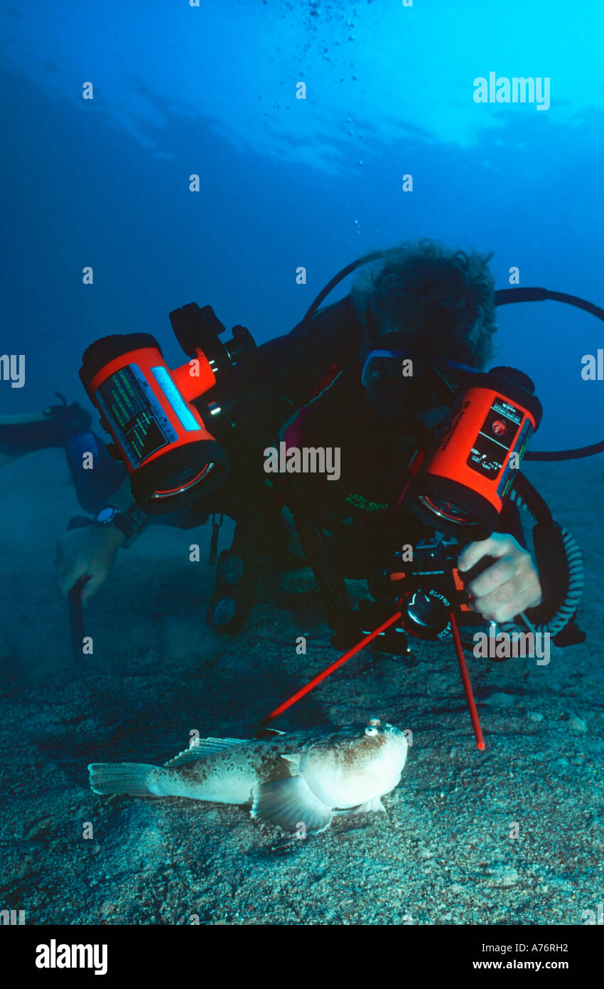 An underwater photographer at work taking macro pictures of a stargazer