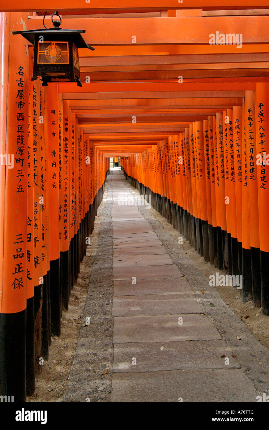 Orange laquered Torii gates at Fushimi Inari Taisha shrine in Kyoto ...