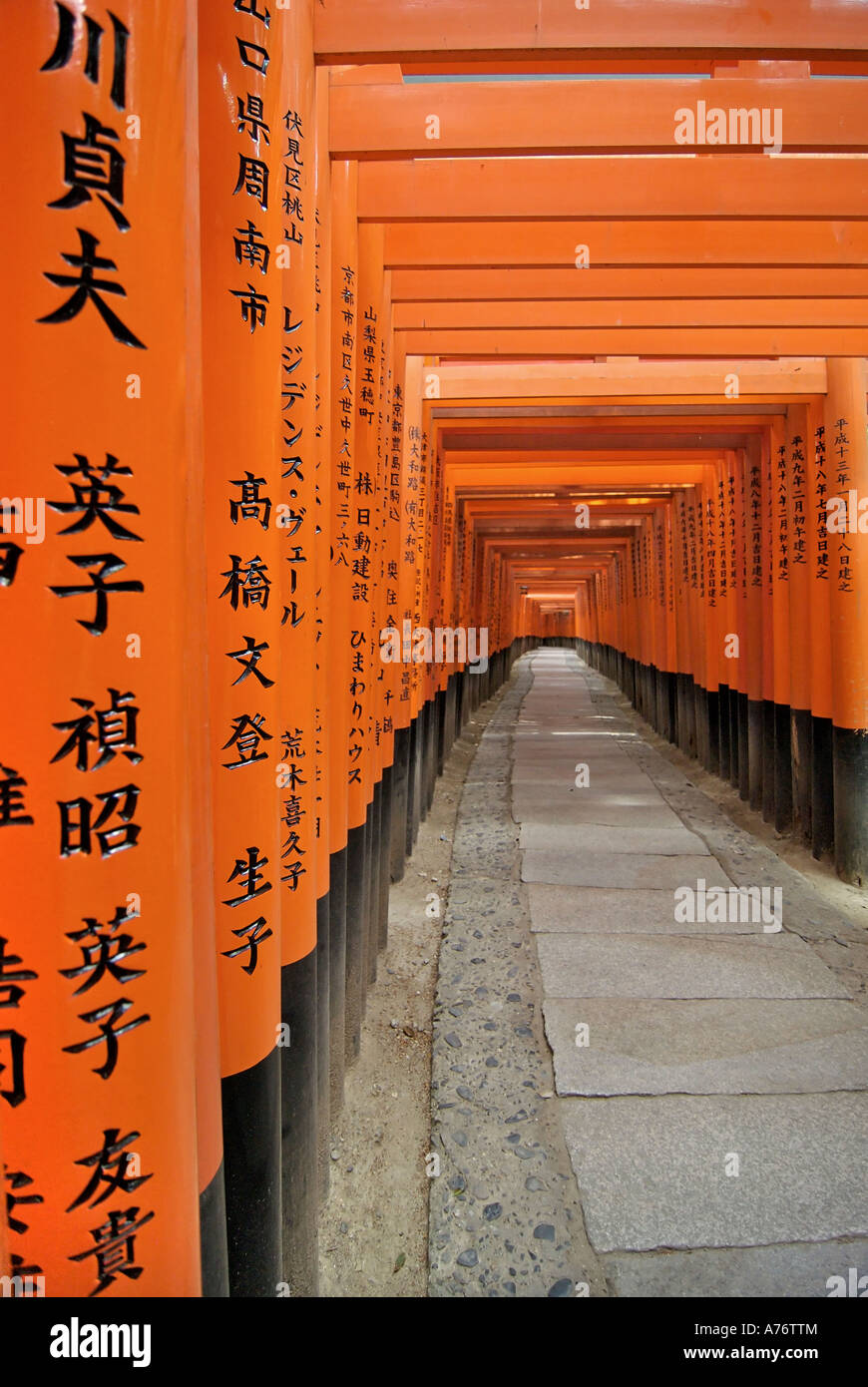 Orange laquered Torii gates at Fushimi Inari Taisha shrine in Kyoto ...