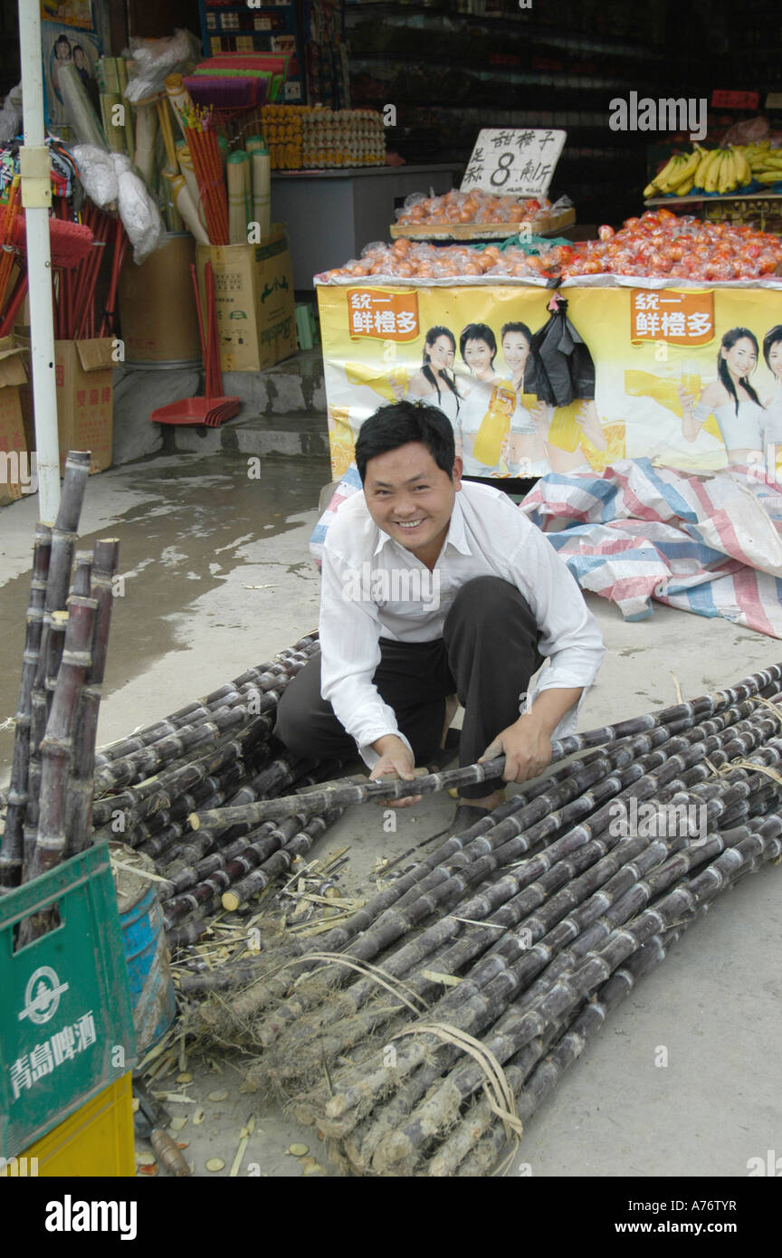 Chinese trades man sorting sugar cane, Dong Guang, China Stock Photo