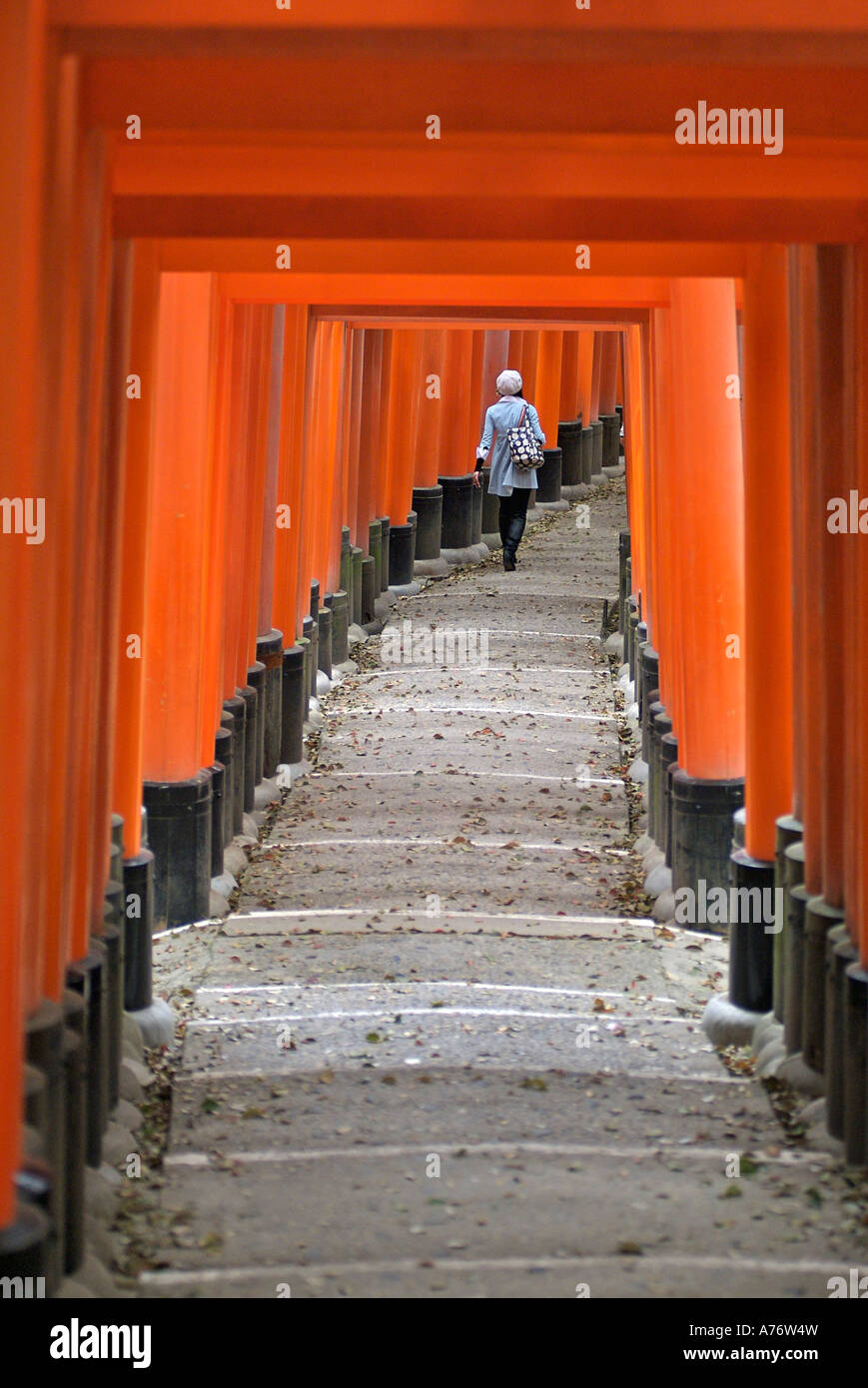 Orange laquered Torii gates at Fushimi Inari Taisha shrine in Kyoto ...