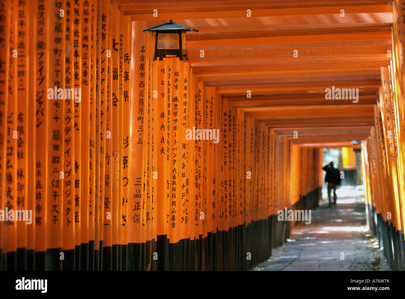 Orange laquered Torii gates at Fushimi Inari Taisha shrine in Kyoto ...