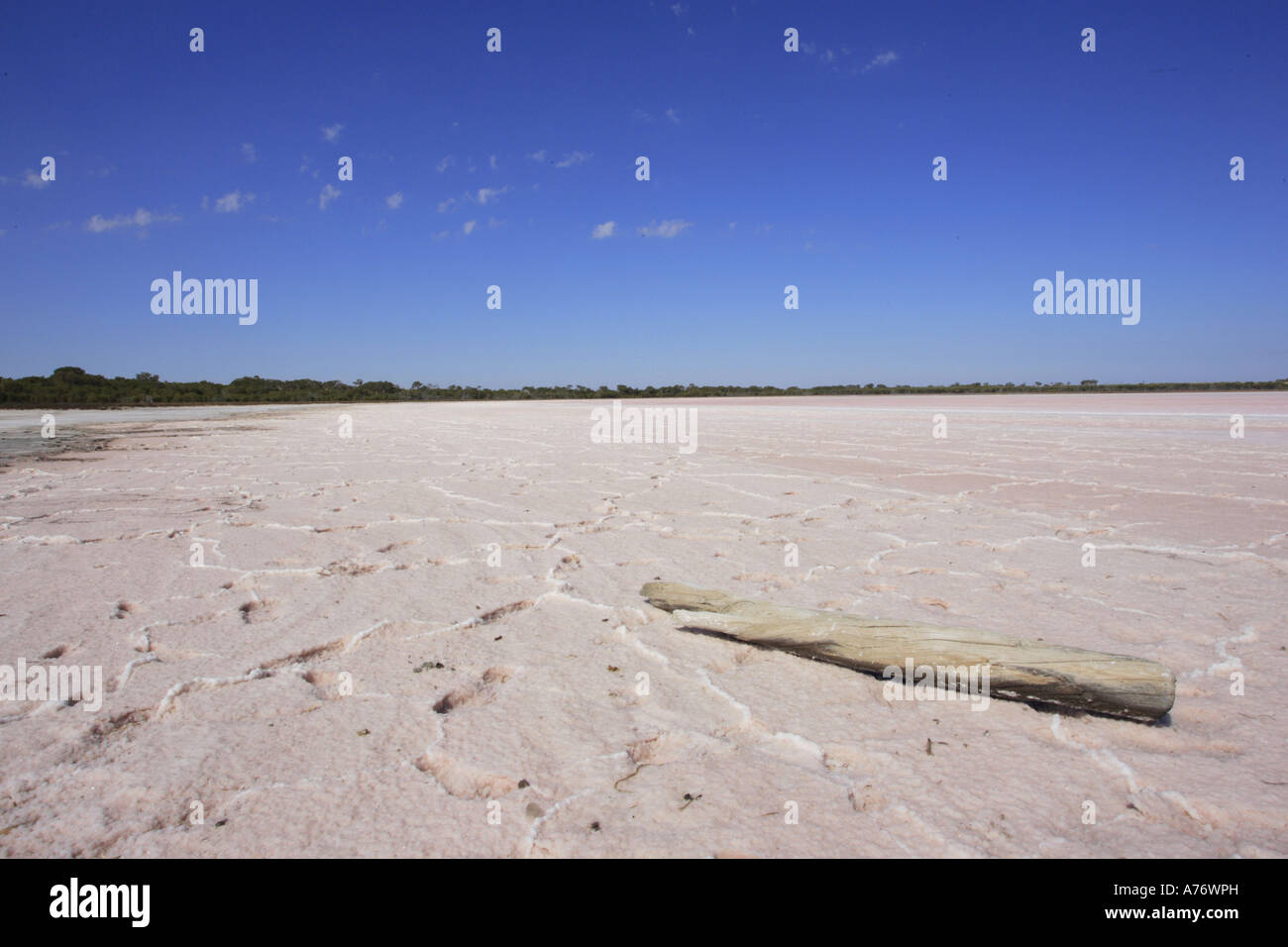 Pink lake, salt lake, Western Australia, Australia Stock Photo