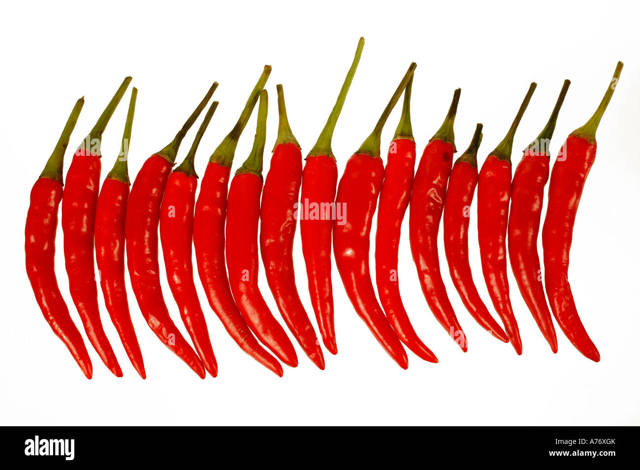 Row of chilies on white background Stock Photo Alamy