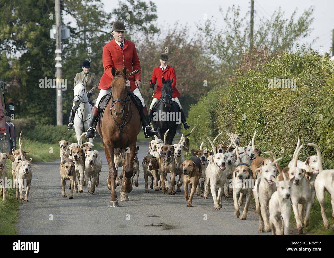fox hunting lincolnshire Stock Photo