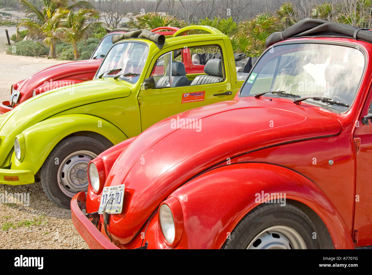 Mexico Cozumel  rental Volkswagen convertibles parked at the beach Stock Photo