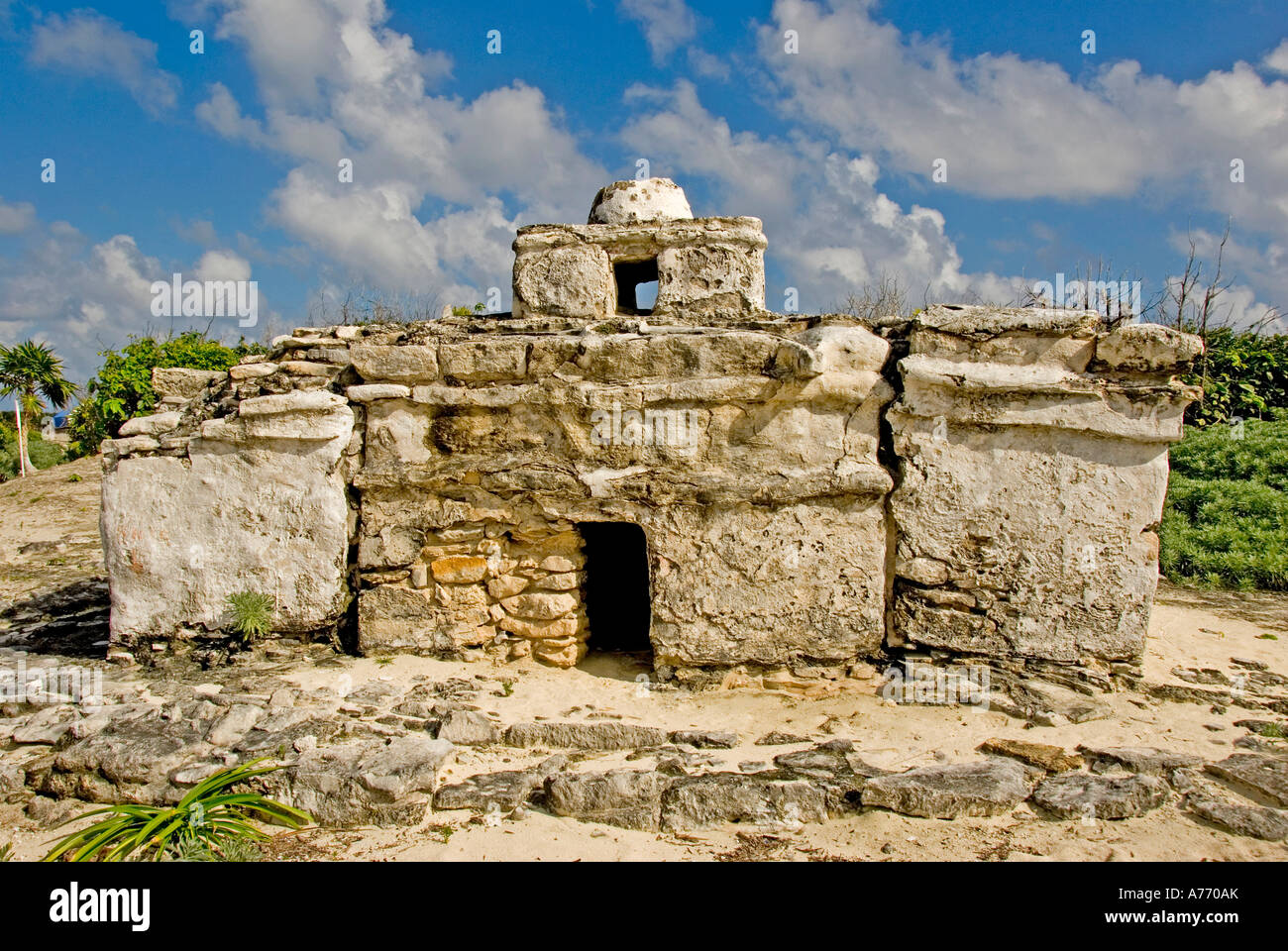 Mexico Cozumel Punta Sur parque ecological park Stock Photo - Alamy