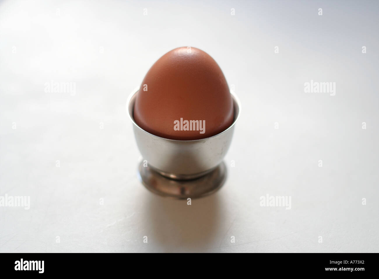 Egg in an egg cup Stock Photo