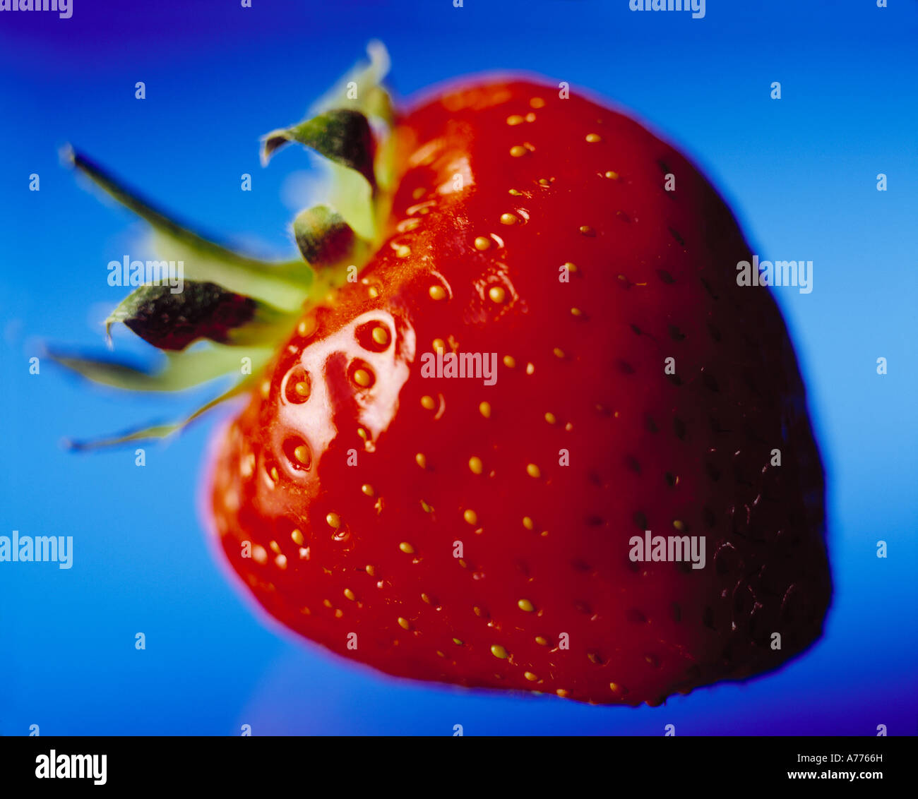 Strawberry on blue background Stock Photo - Alamy