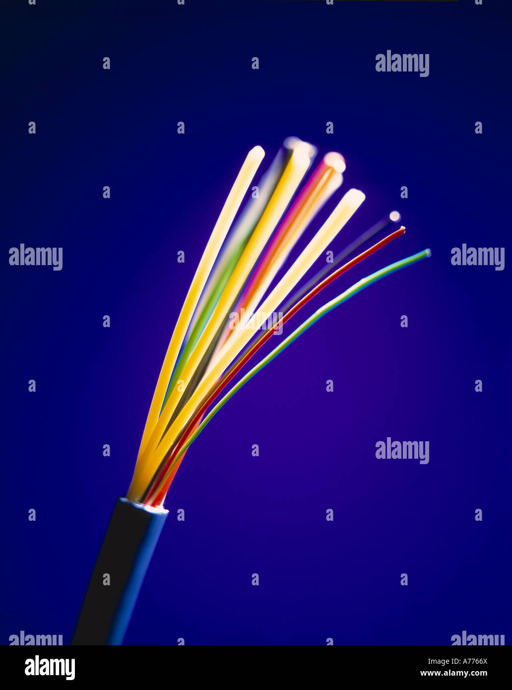 Fibre Optic Cable on blue background Stock Photo - Alamy
