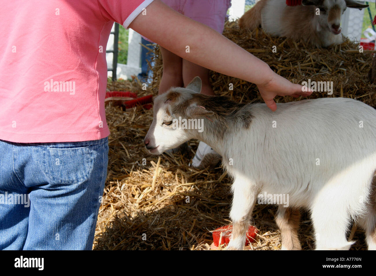 Little girl big horse hires stock photography and images Alamy