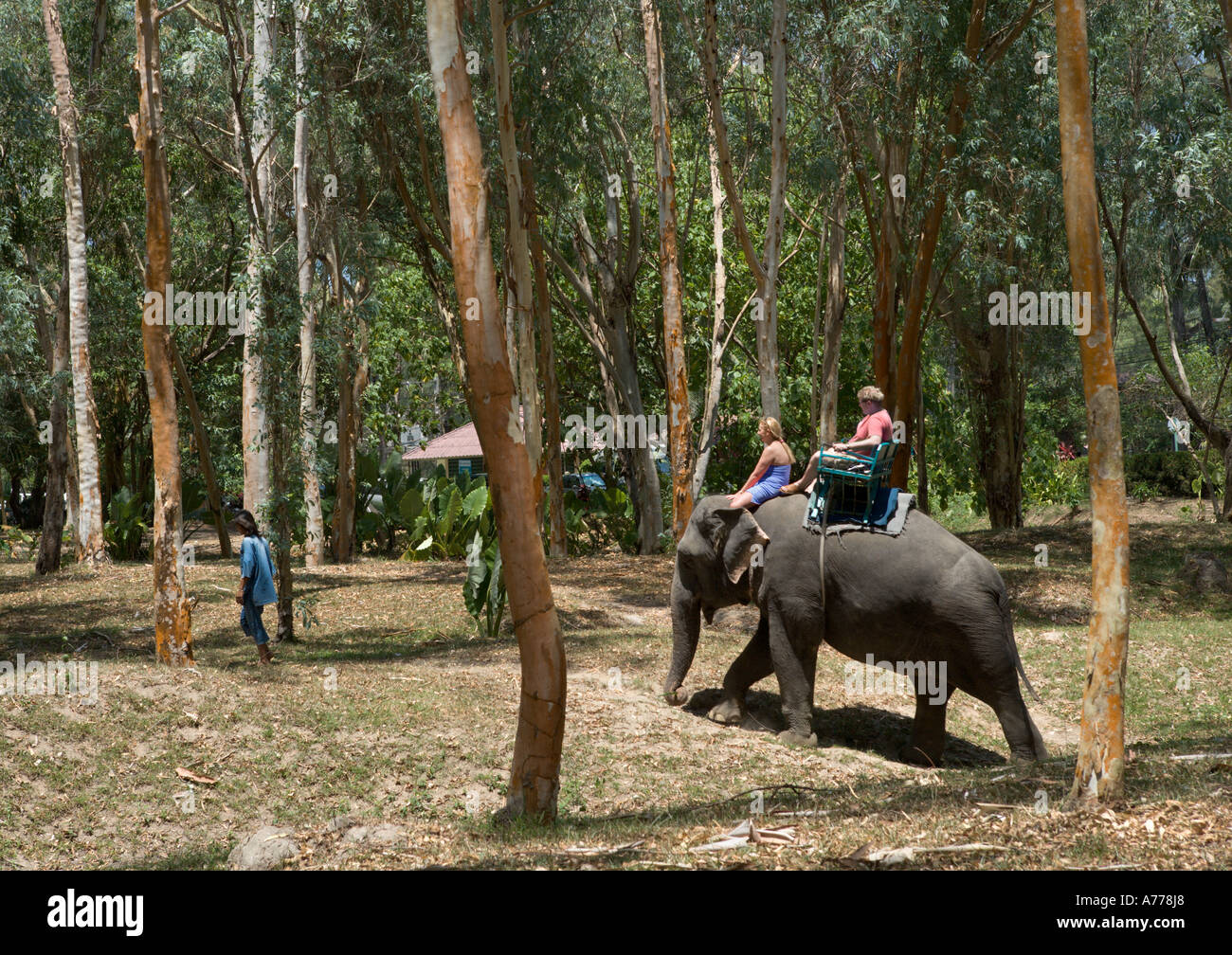 Elephant Rides, Bang Tao Beach, Phuket Thailand Stock Photo