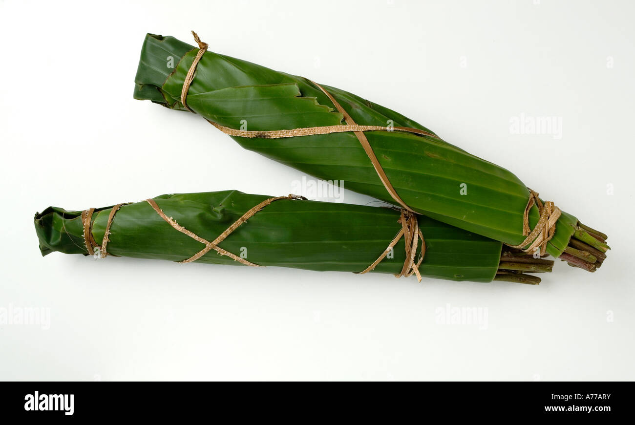 Wrapped bunches of Khat or Qat or Gat. Legally sold for £5 GBP or $10 US a bunch in the UK. Stock Photo