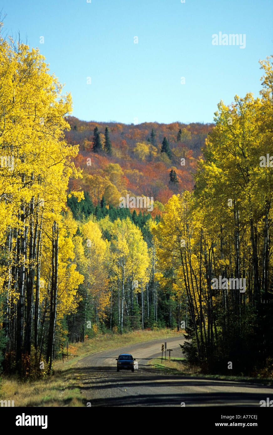 FALL COLORS LINE ROAD IN NORTHERN MINNESOTA'S ARROWHEAD REGION. FALL