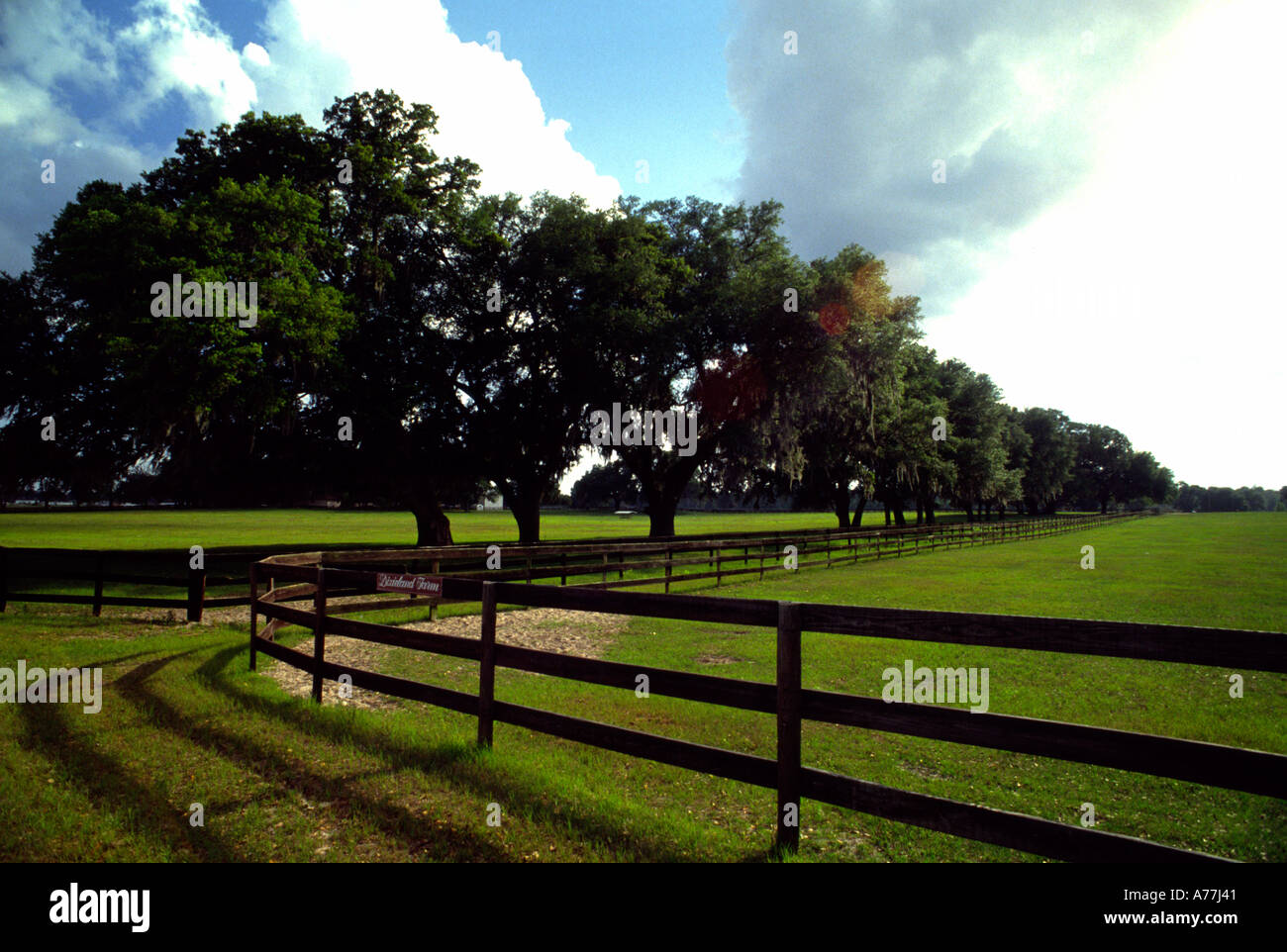 Horse farms of Ocala Florida Stock Photo Alamy