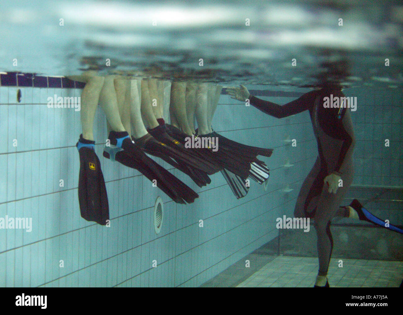 Great Britain Underwater Hockey Team Stock Photo Alamy great-britain-underwater-hockey-team-stock-photo-alamy