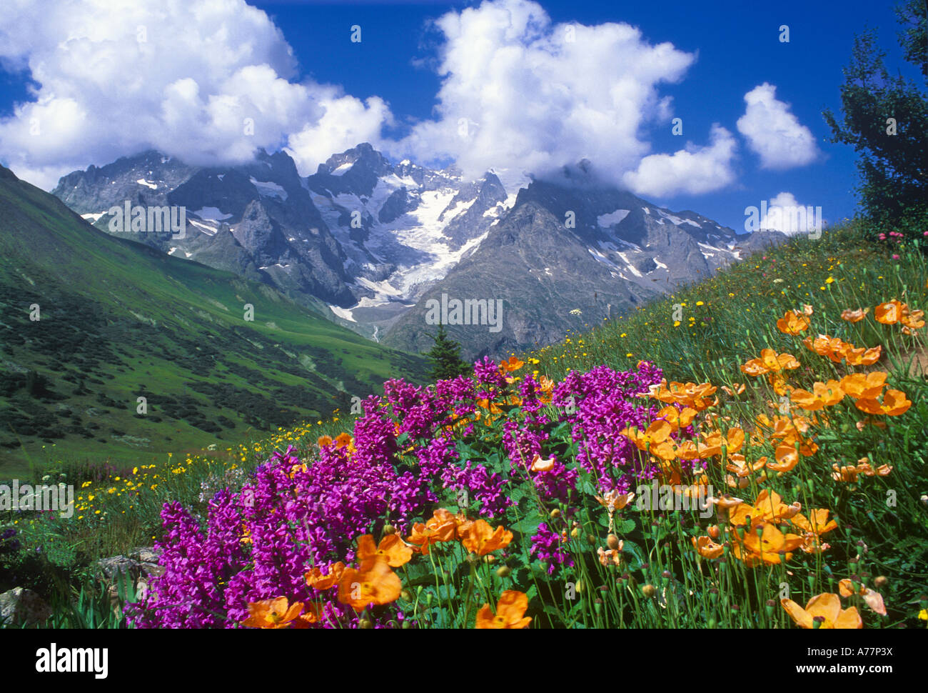 Horizontal landscape spring alps hi-res stock photography and images ...