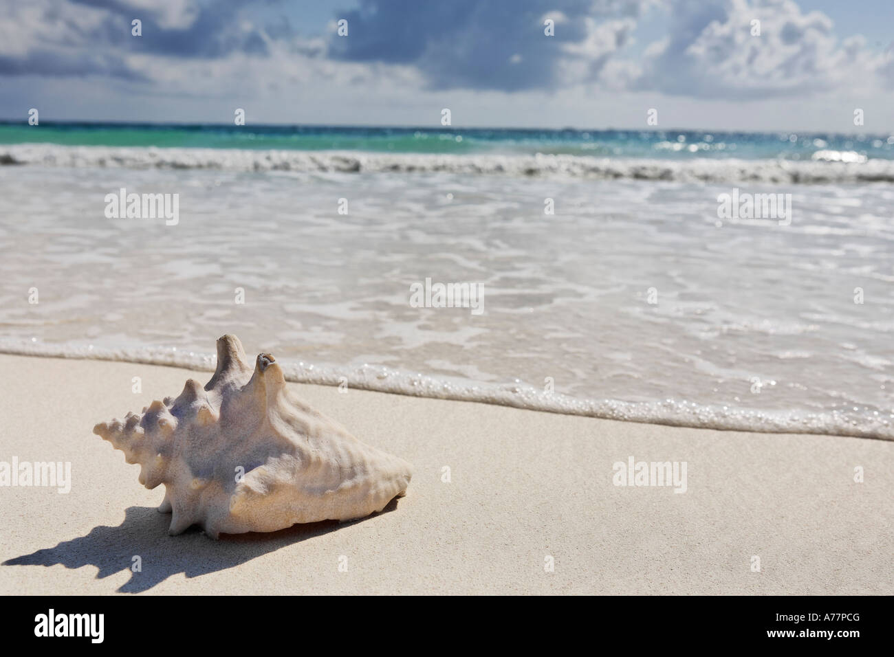 Mexico tulum panoramic view hi-res stock photography and images - Alamy