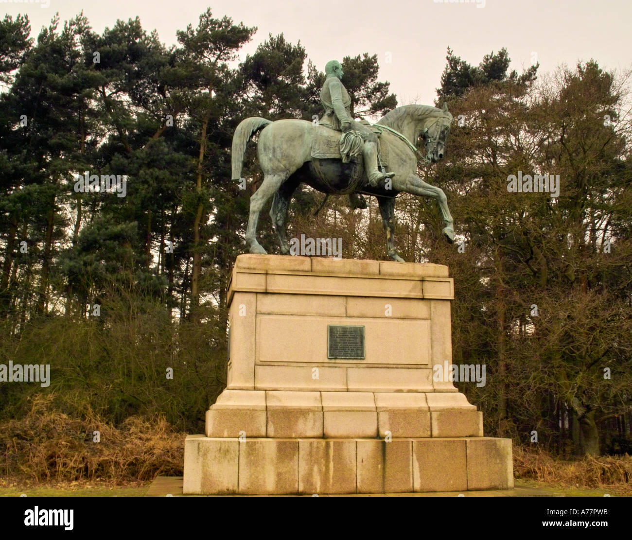 Statue of Prince Albert, Prince Consort, Windsor Great Park Stock Photo
