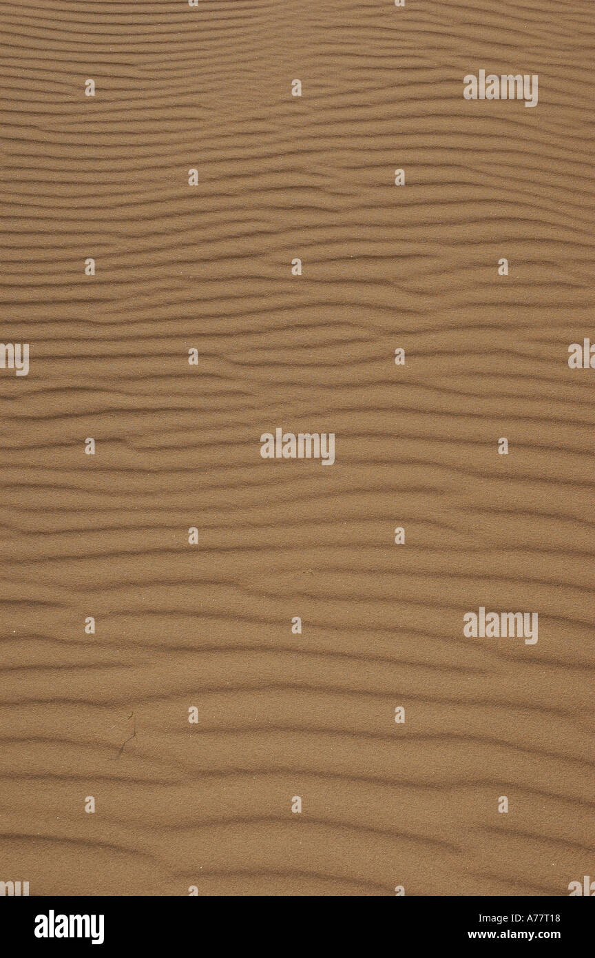 Sand texture in the desert. Stock Photo