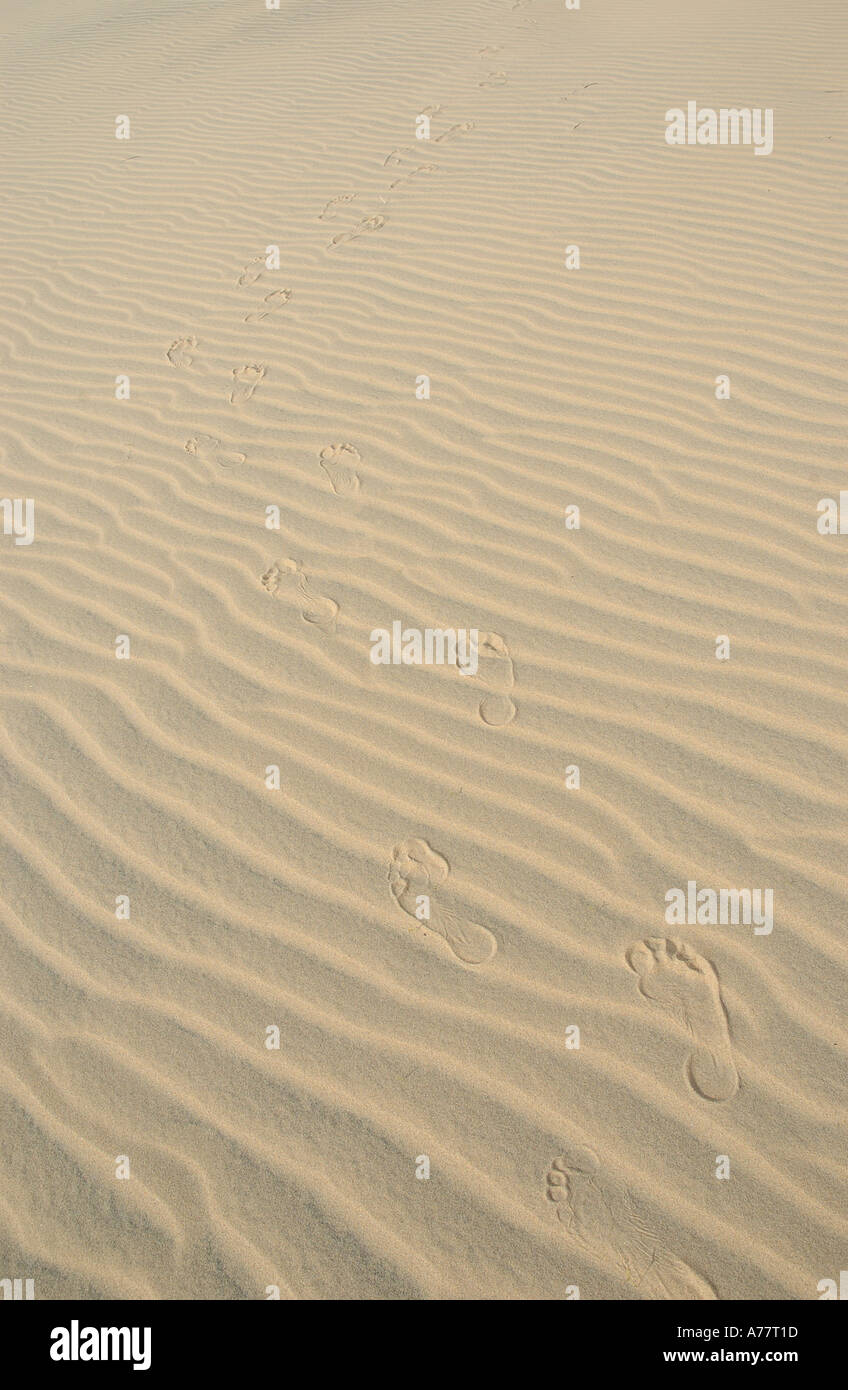 Sand texture in the desert. Stock Photo