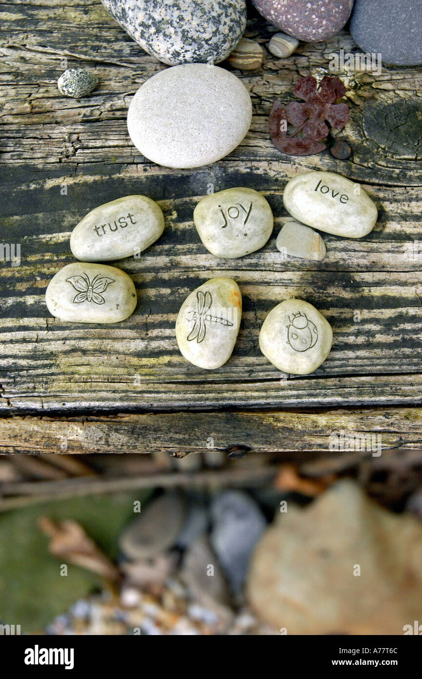 Word stones LOVE TRUST JOY with a butterfly dragonfly and a ladybug set on a rustic table in the garden  Stock Photo