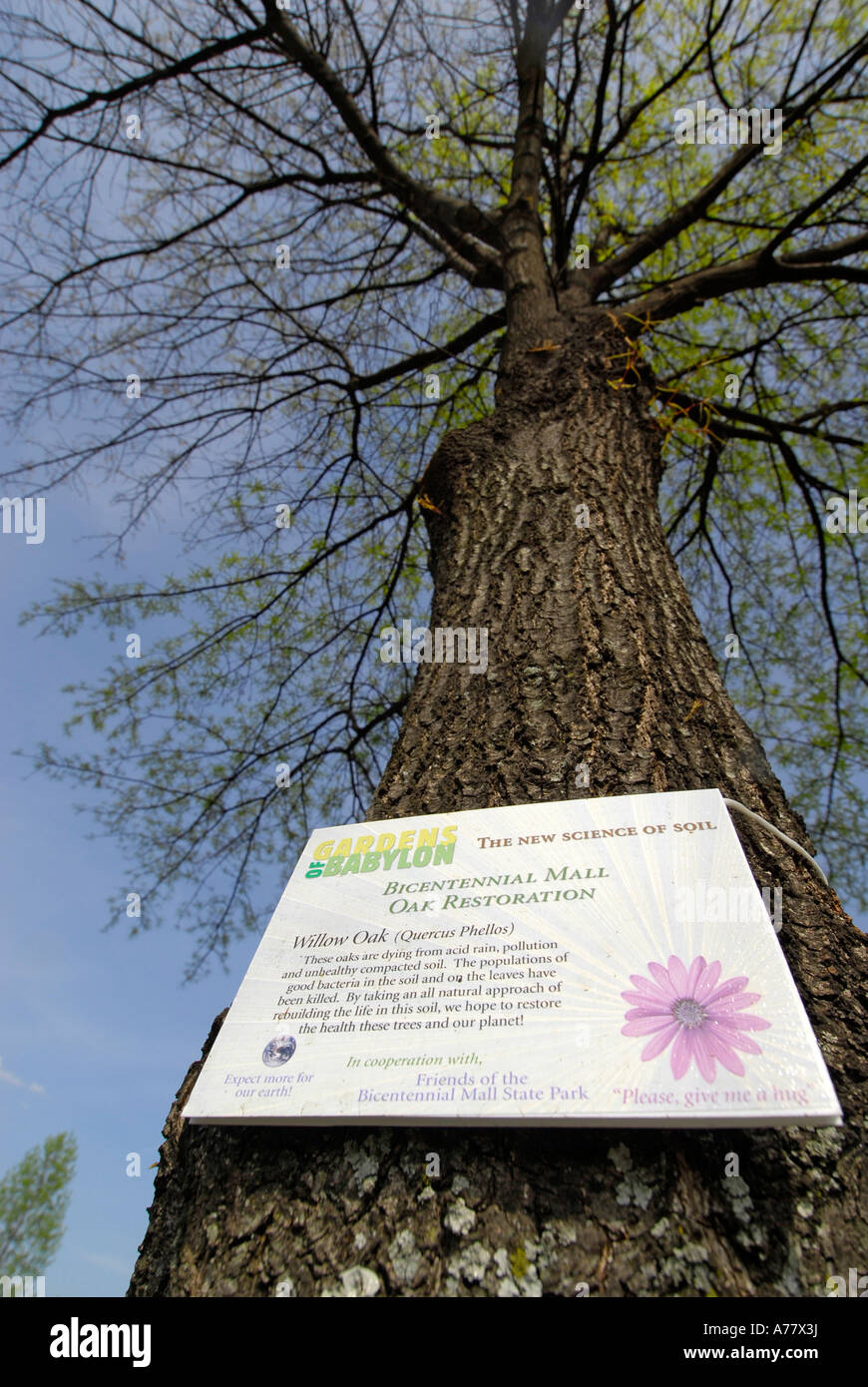Oak Tree Restoration Project in Tennessee Bicentennial Capitol Mall