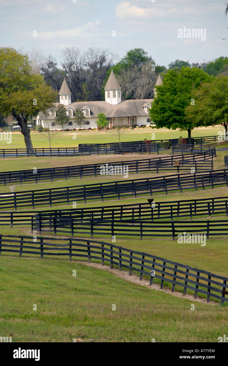 Horse farms in Ocala Florida FL Stock Photo