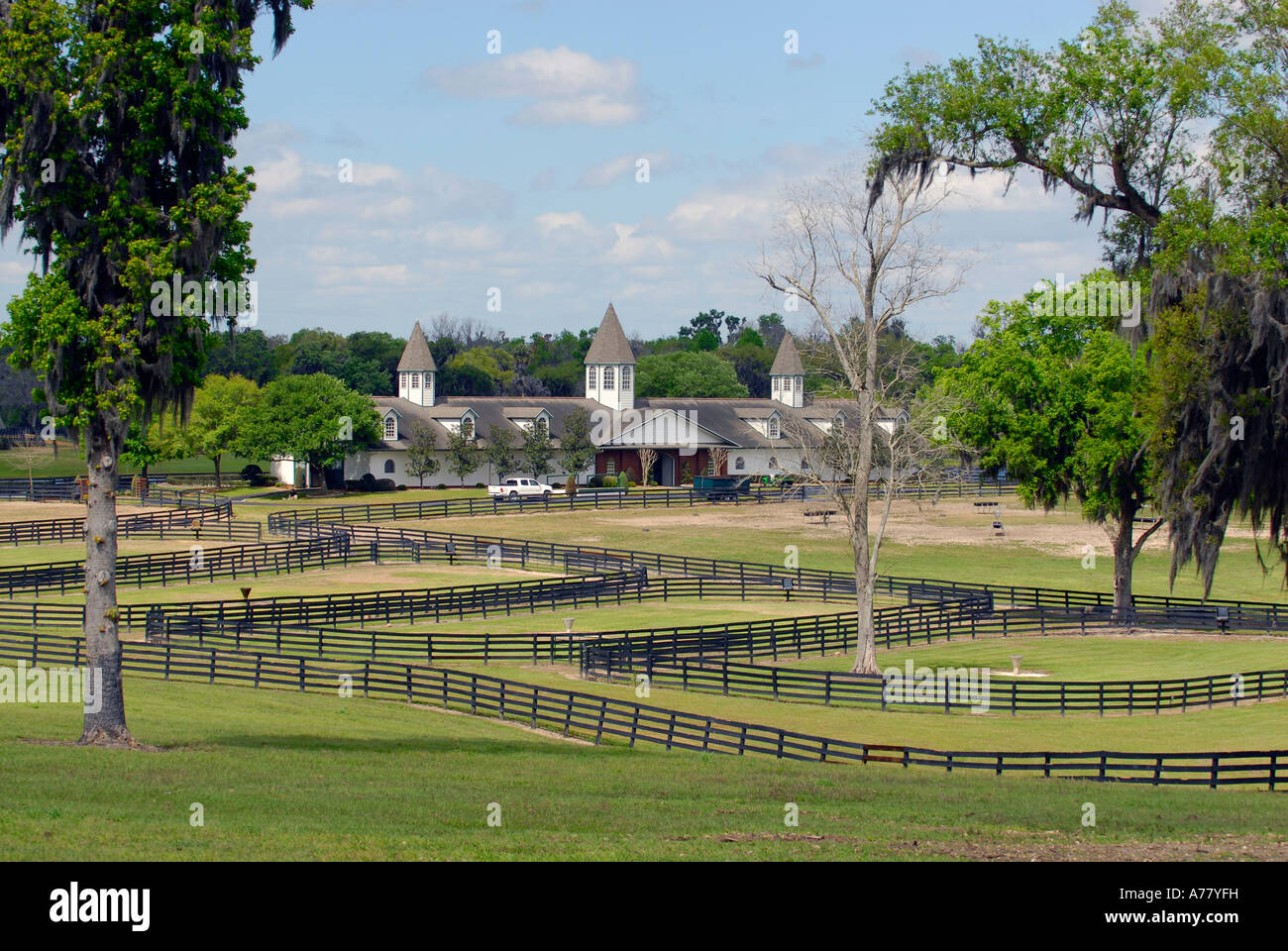 Horse farms in Ocala Florida FL Stock Photo Alamy