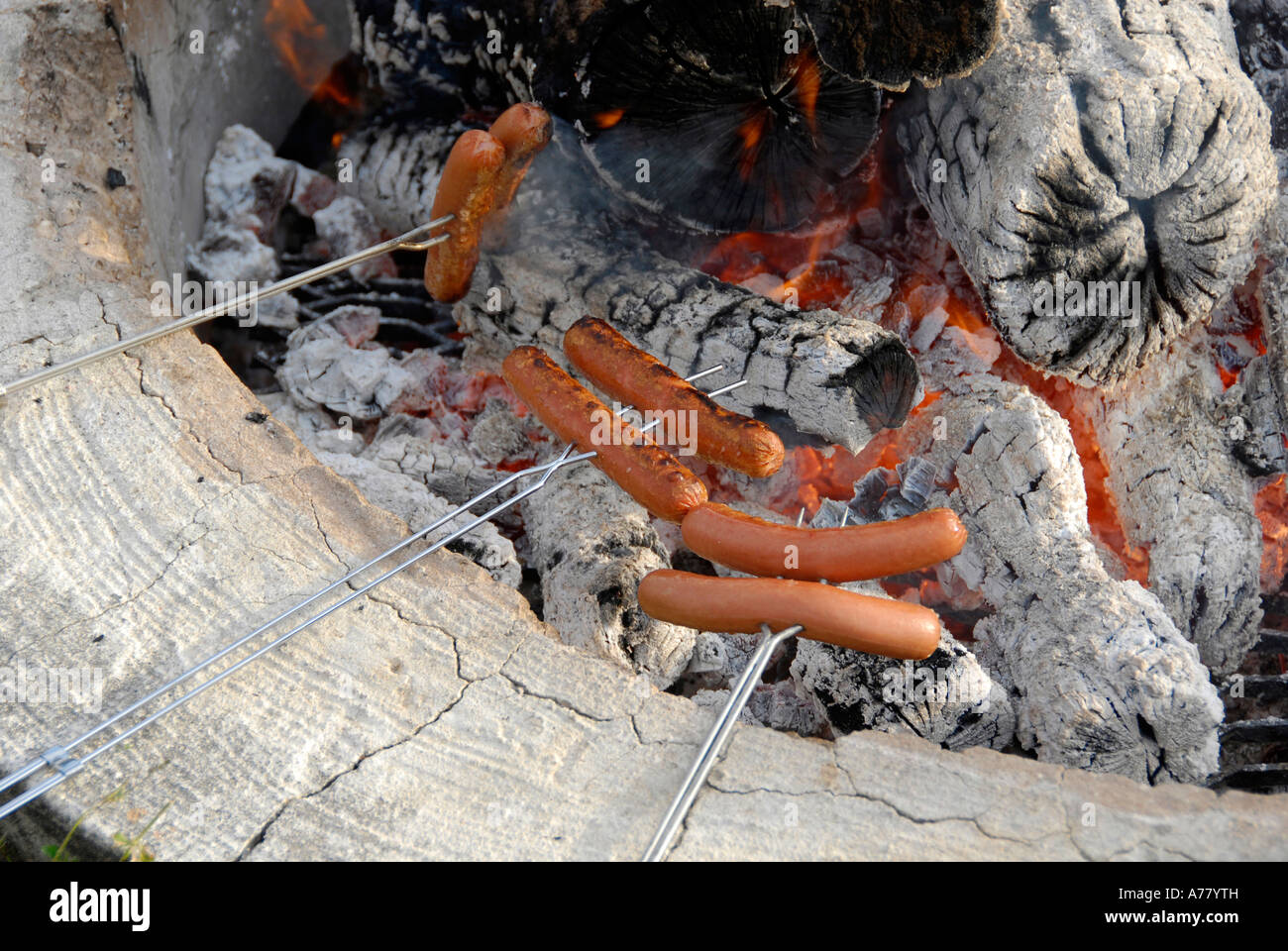 Roasting hot dogs over an open fire Stock Photo Alamy
