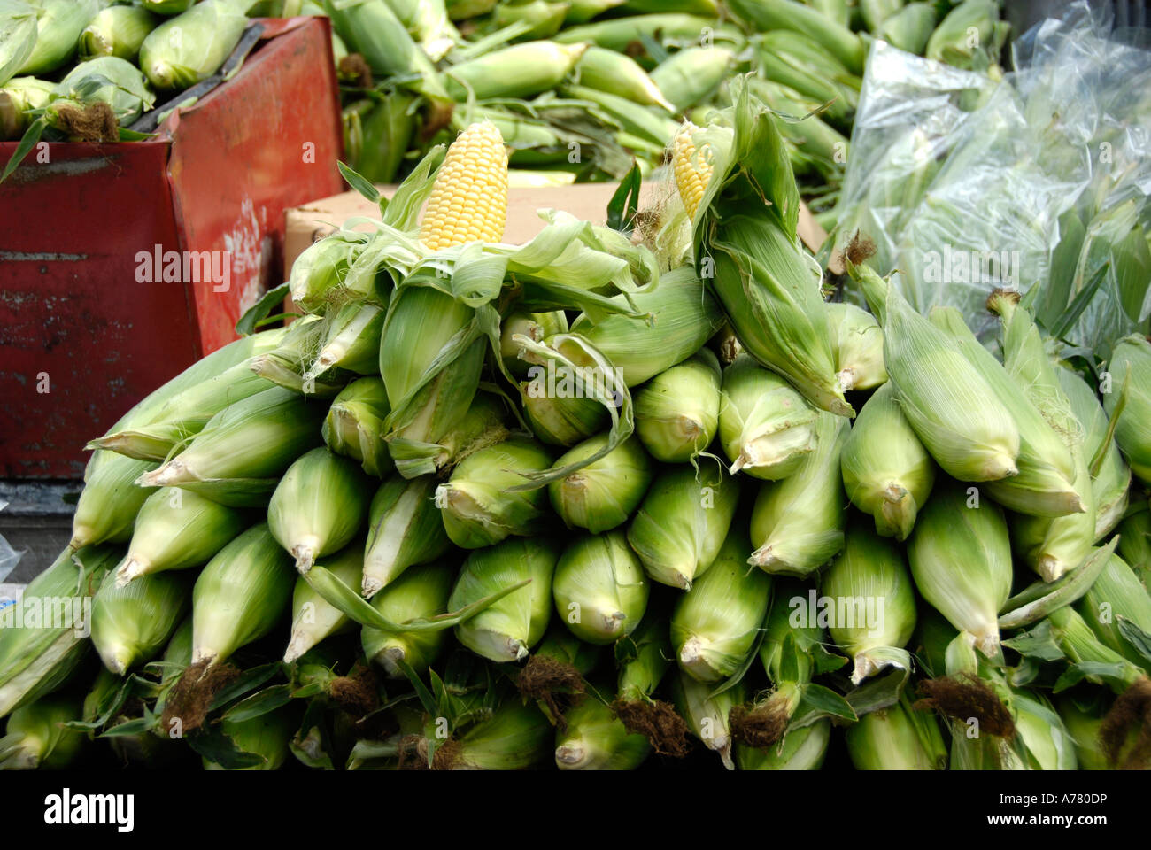 Corn Stand at Sunday Market Eola Park Downtown Orlando Florida US Stock