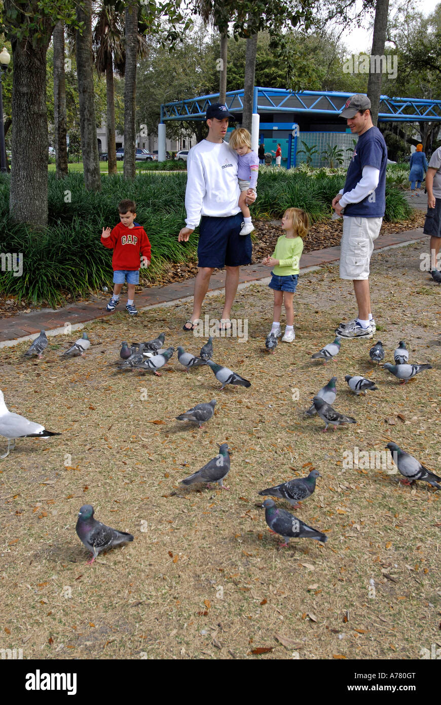 Feeding Birds at Eola Park Downtown Orlando Florida US Stock Photo Alamy