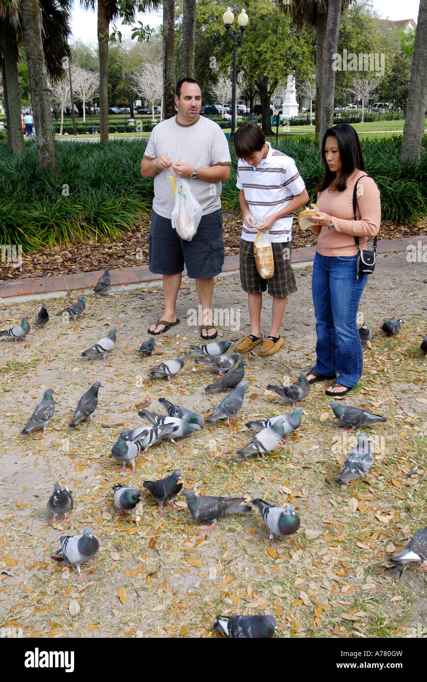 People Feeding Birds Stock Photos & People Feeding Birds Stock Images