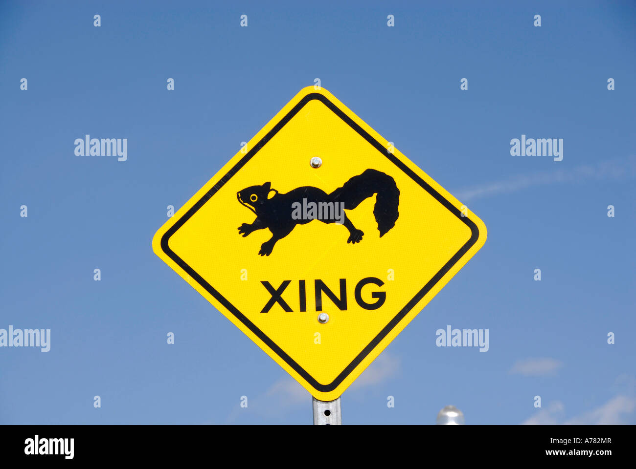 Squirrel crossing sign located in the Gilchrist city park Punta Gorda
