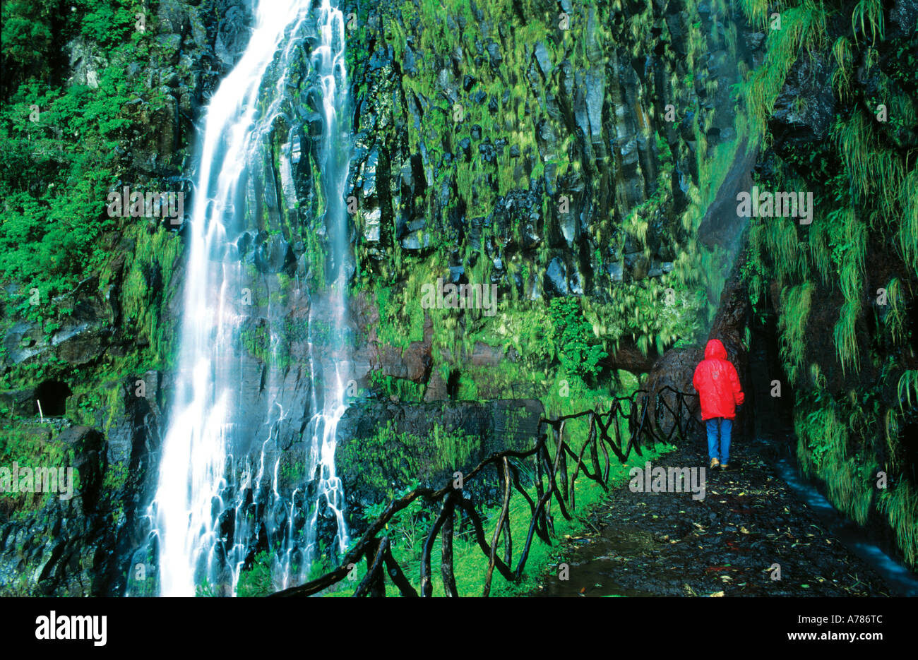 Tourist walking at the levada of Rabacal Madeira Island Portugal Stock ...
